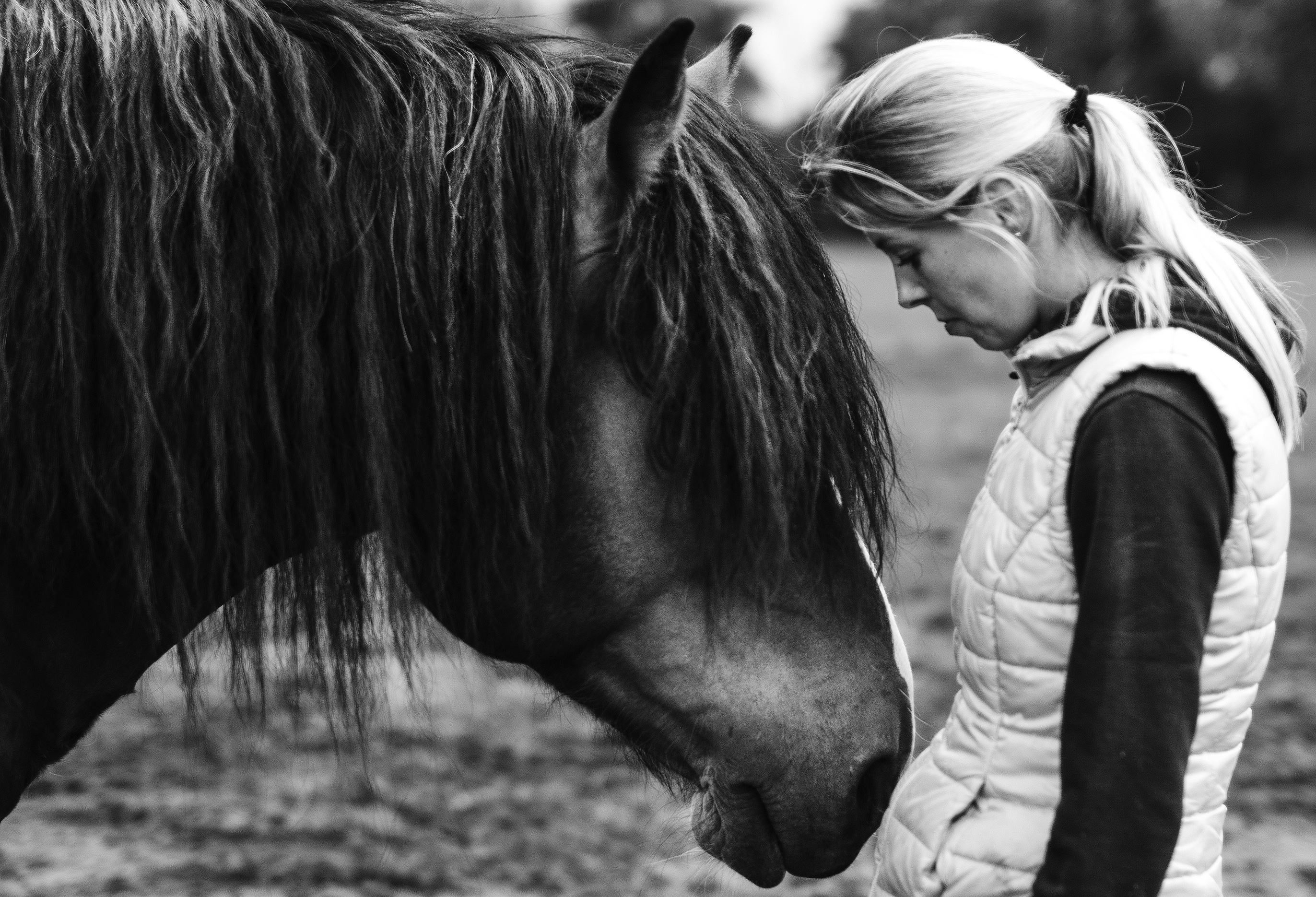 siła kobiet / Magda ratuje konie / MINT MAG