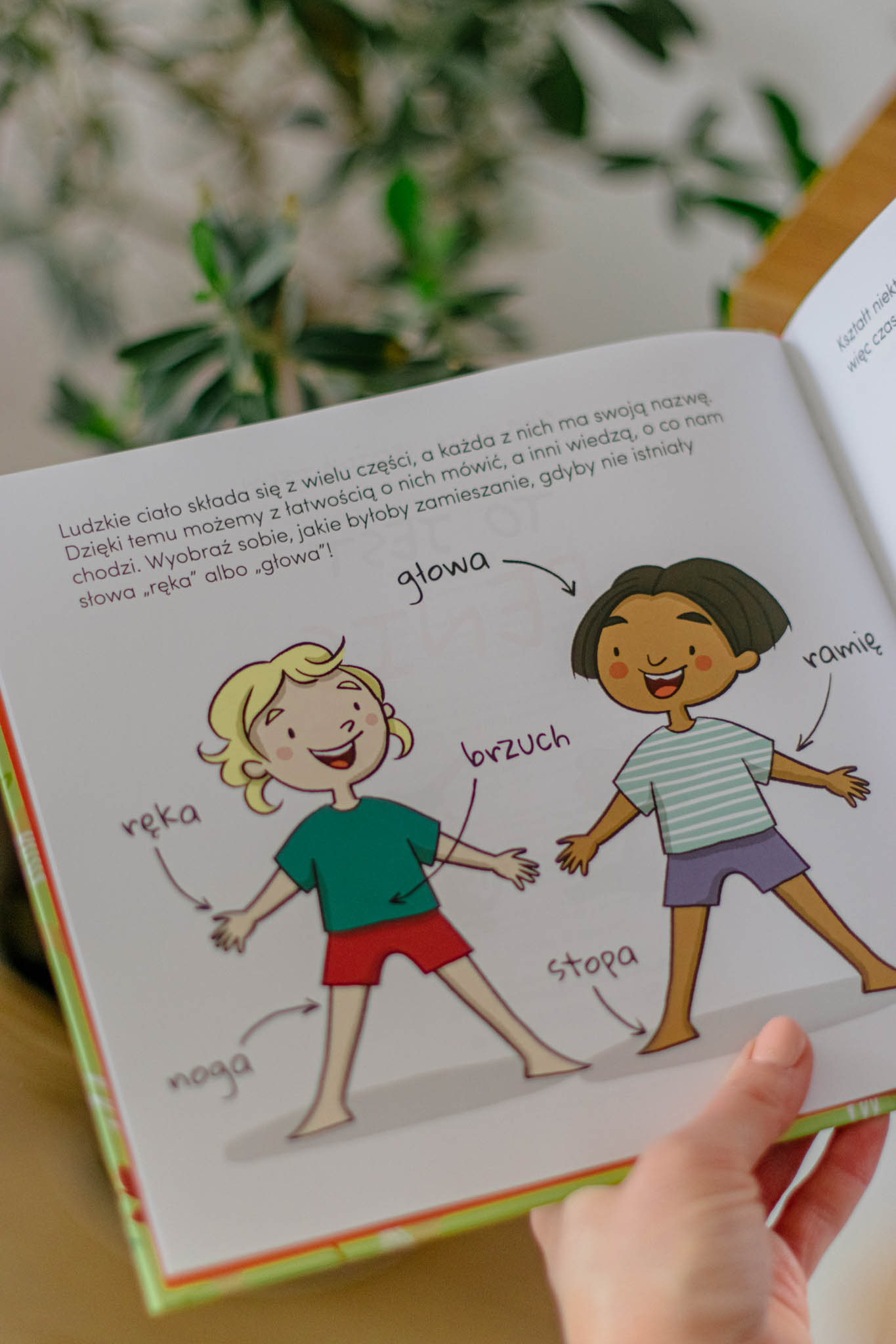 książki dla dzieci o sprawach intymnych