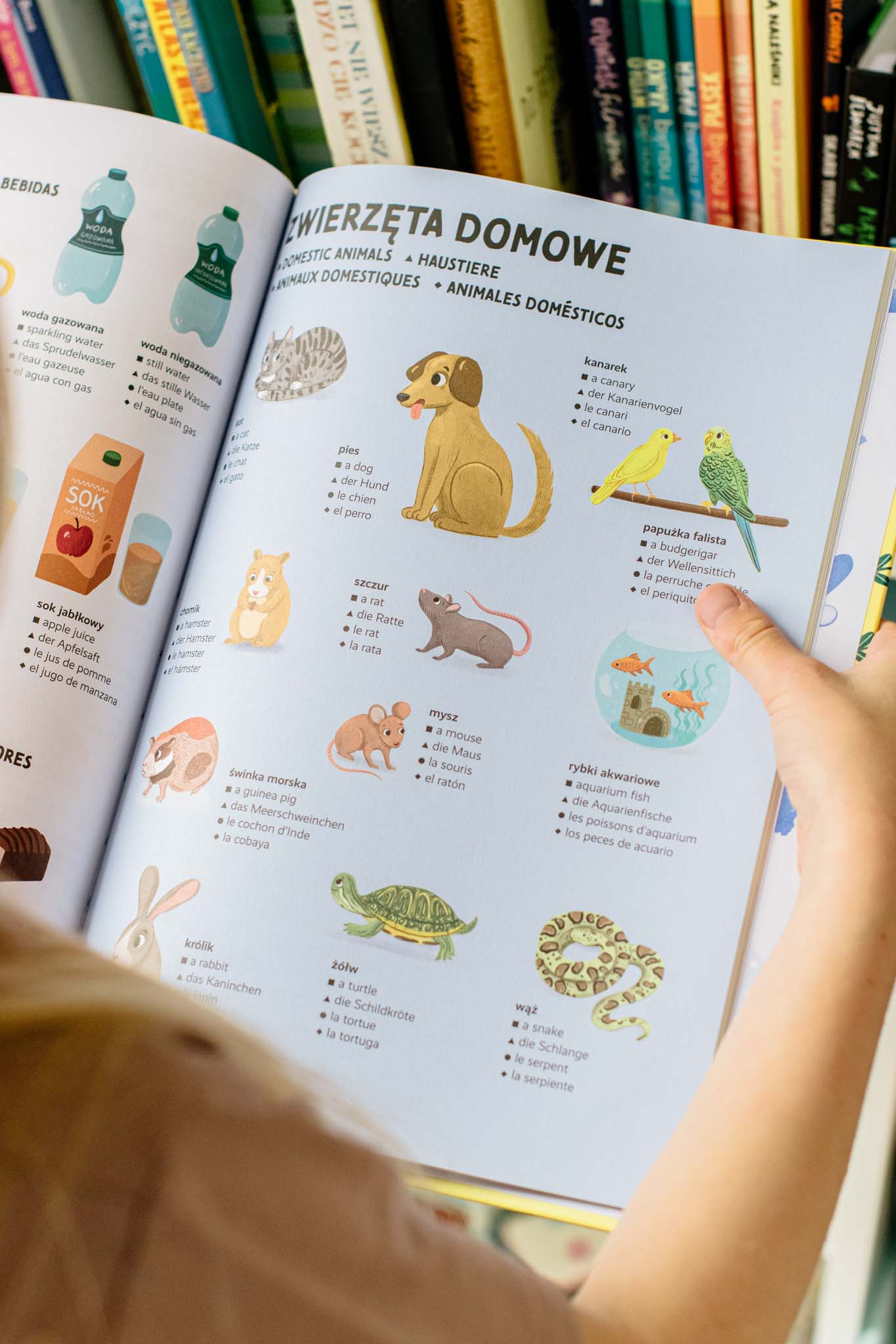 książki edukacyjne dla dzieci