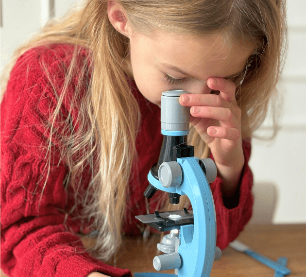 Odkrycia zaczynają się w domu