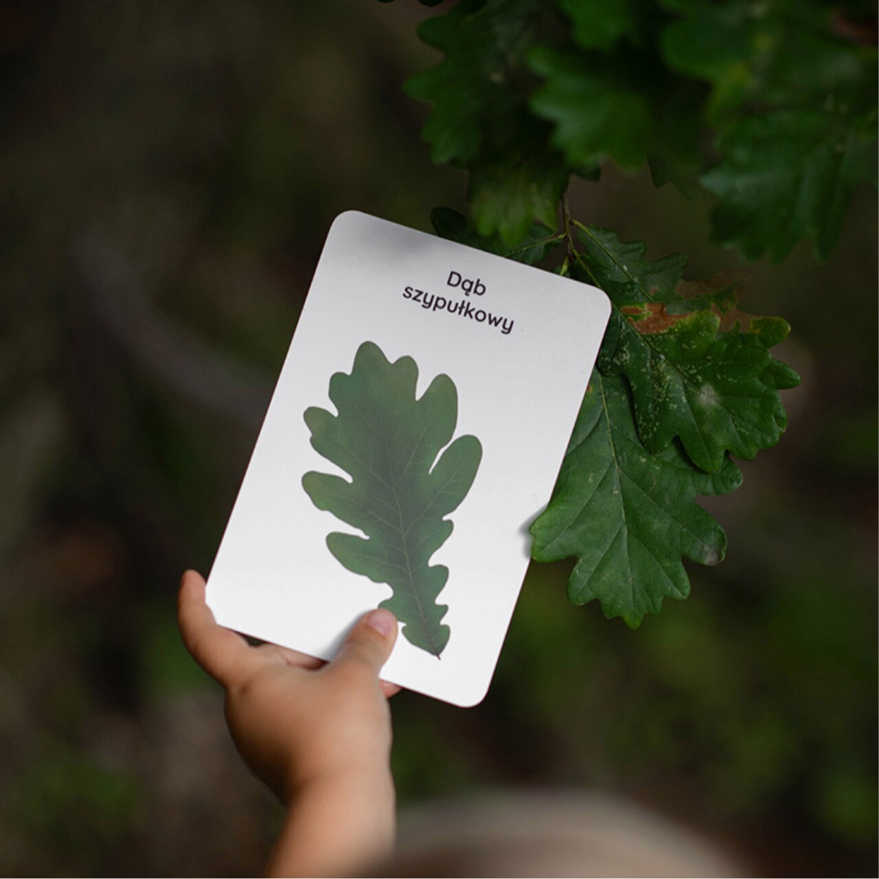 karty do zabawy w podróży dla dzieci