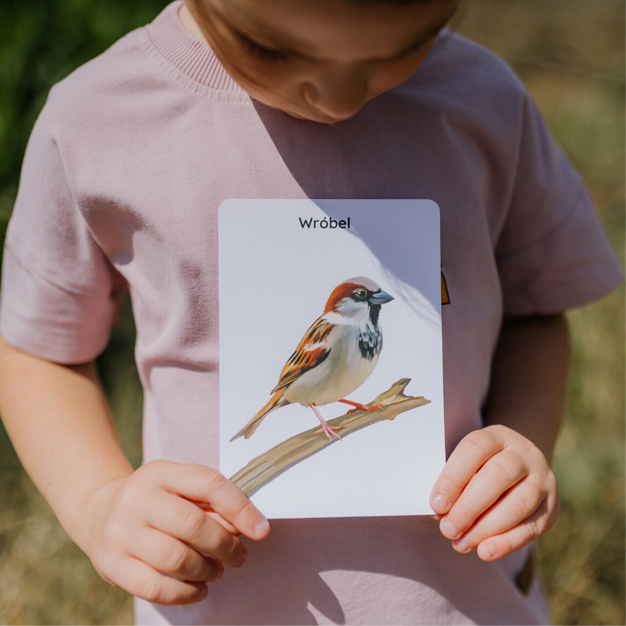 kreatywne zabawy dla dzieci poza ekranem