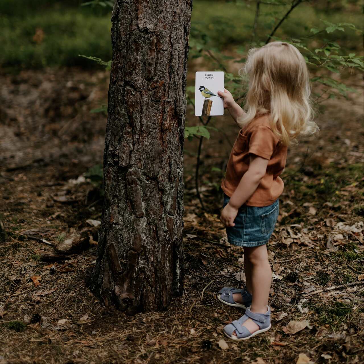 rodzinny spacer z kartami zabaw