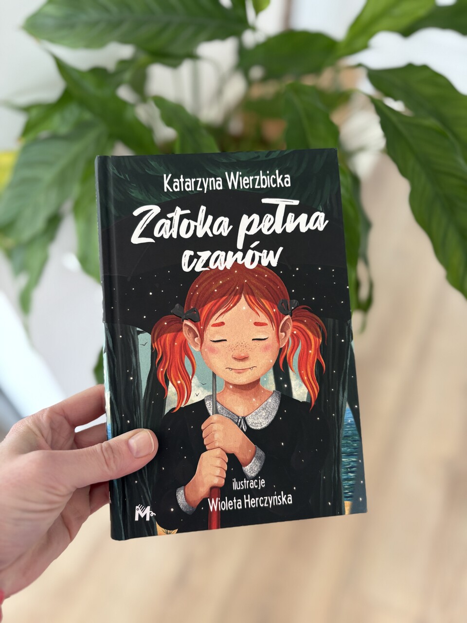 Zatoka pełna czarów książka