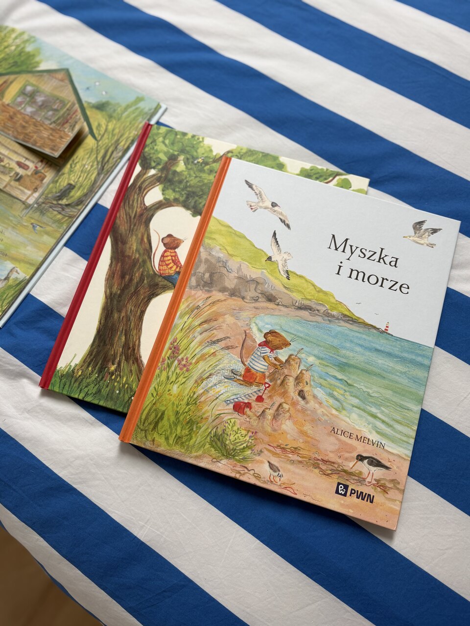 Seria z Myszką od Wydawnictwa PWN – ilustrowane książki o naturze dla dzieci