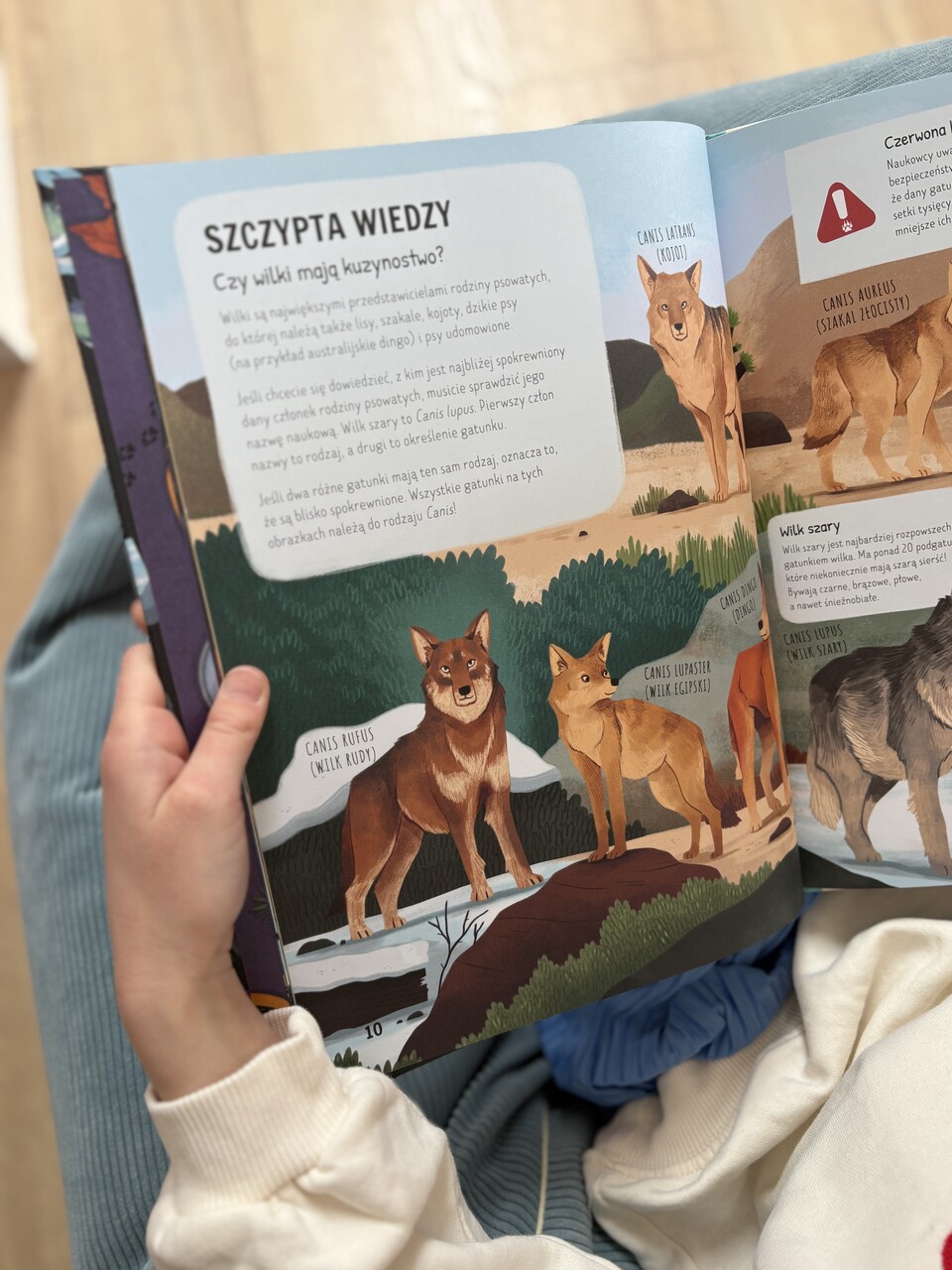książki o naturze dla dzieci