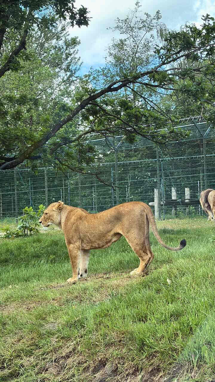 zoo givskud